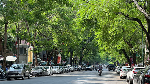 Dự báo thời tiết hôm nay 24/3: Miền Bắc sáng sớm có mưa và sương mù, trưa chiều trời hửng nắng